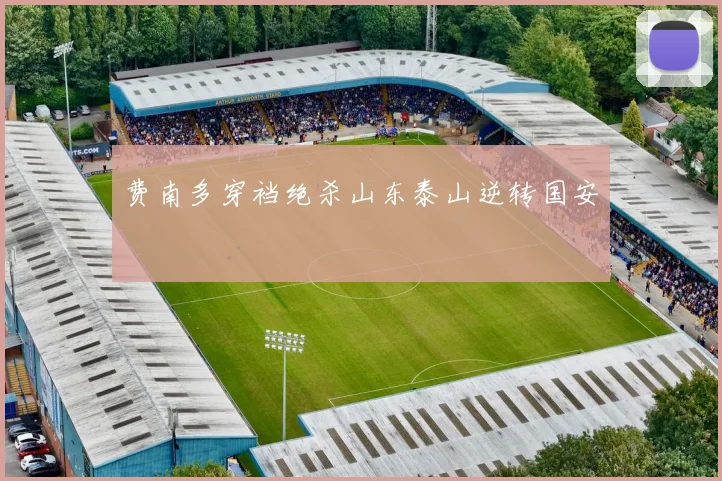 费南多穿裆绝杀山东泰山逆转国安