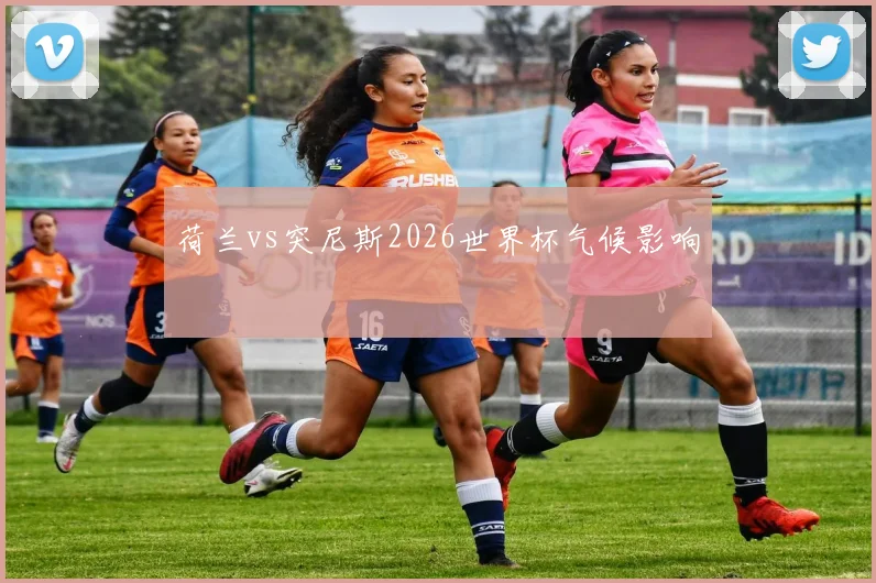 荷兰vs突尼斯2026世界杯气候影响