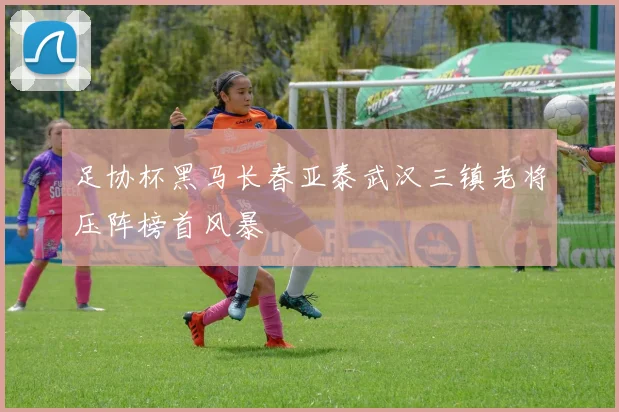 足协杯黑马长春亚泰武汉三镇老将压阵榜首风暴