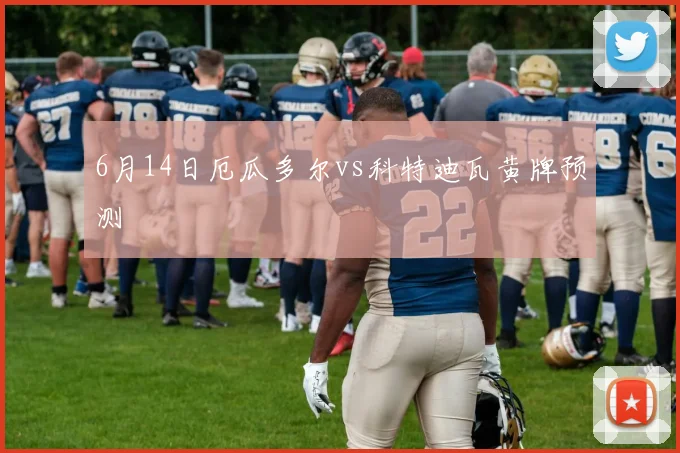6月14日厄瓜多尔vs科特迪瓦黄牌预测